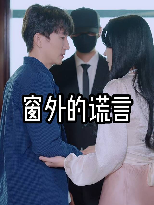 窗外的谎言封面
