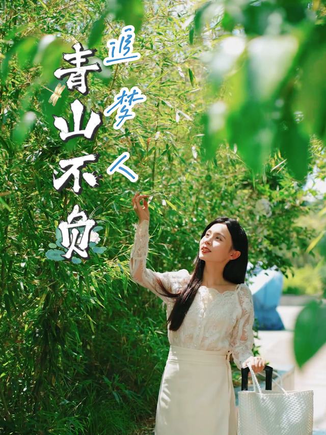 青山不负追梦人封面