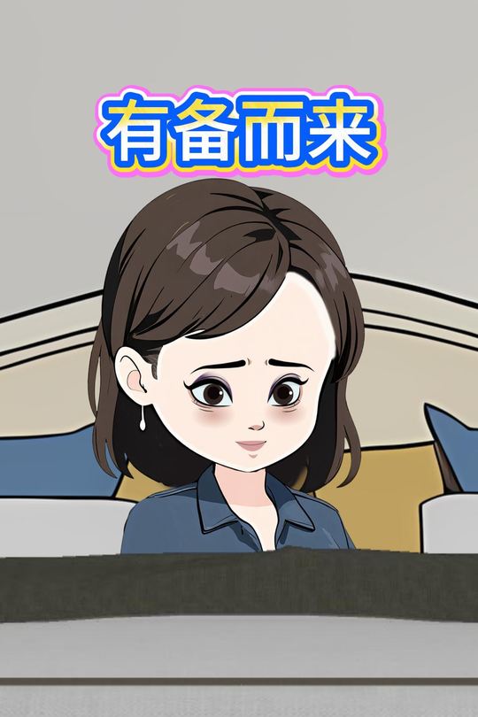 有备而来封面