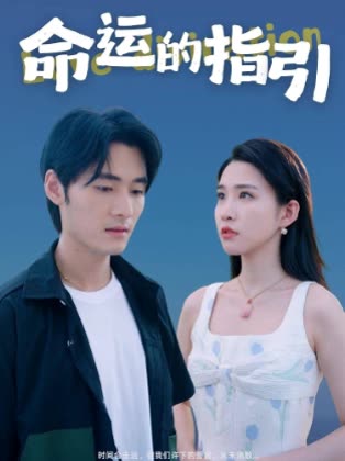 命运的指引封面