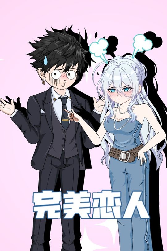 完美恋人封面