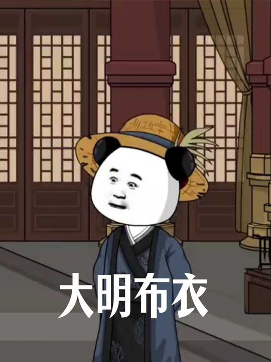 大明布衣封面