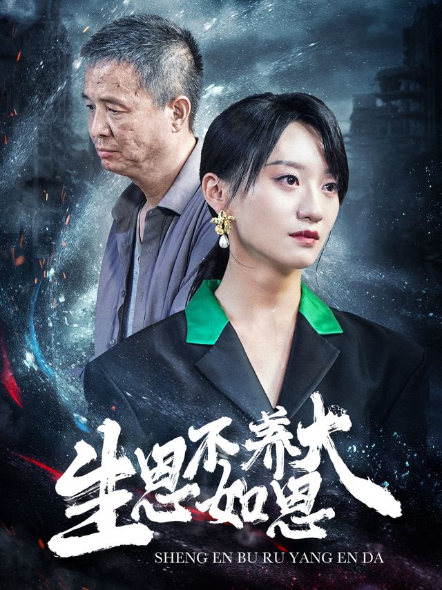 我的养父恩情封面