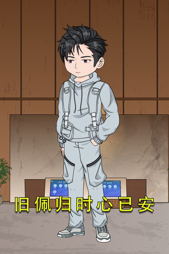 旧佩归时心已安封面