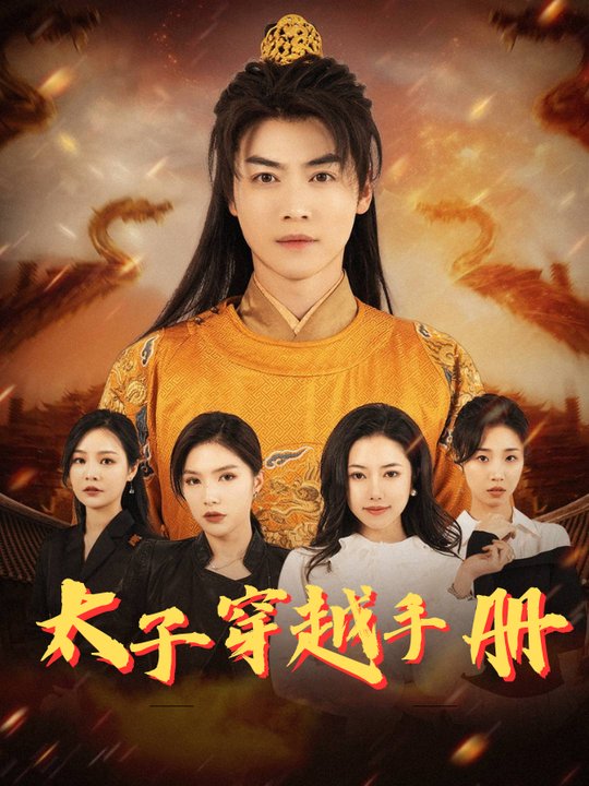 太子穿越手册封面