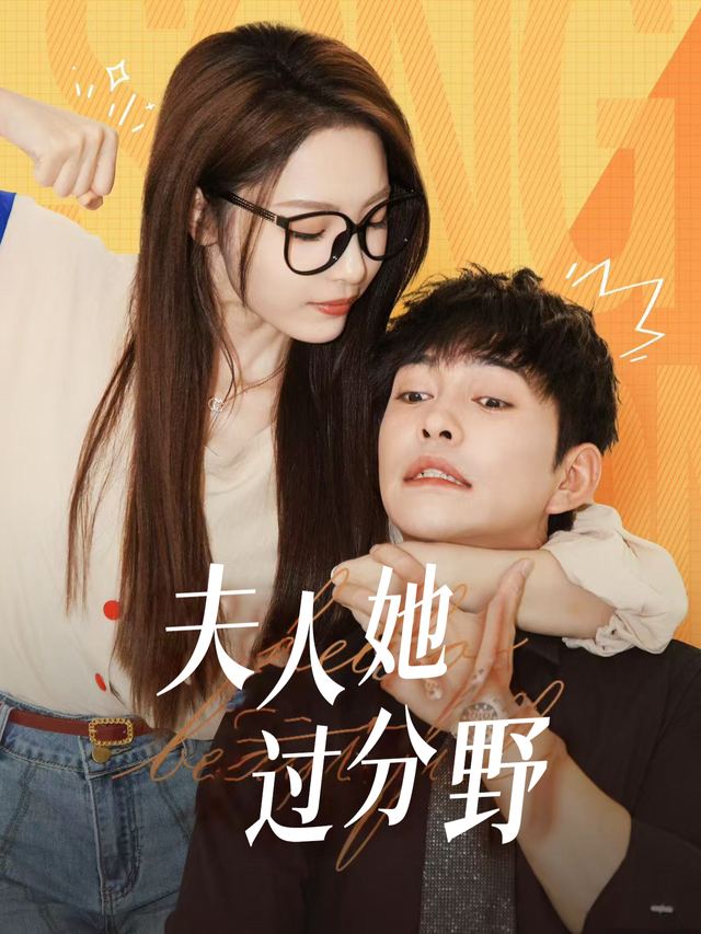 夫人她过分野封面