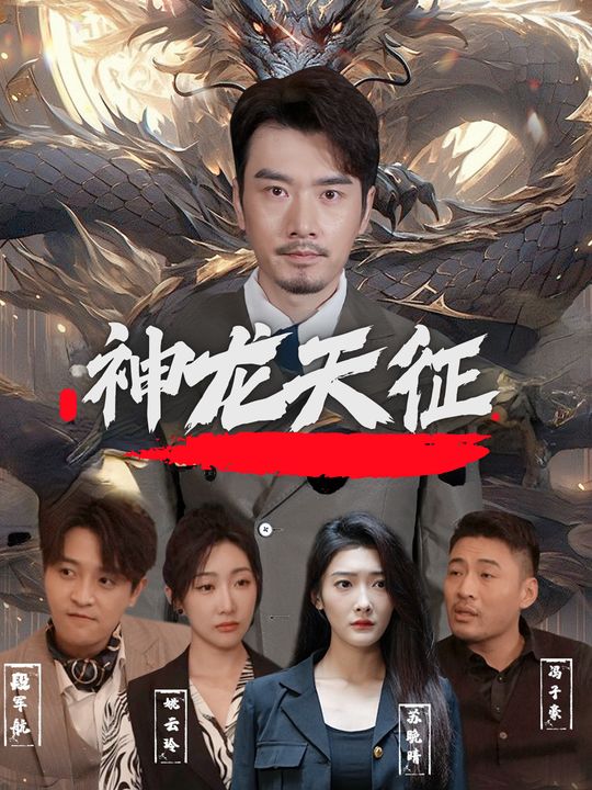 神龙天征封面