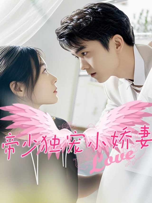 帝少独宠小娇妻封面