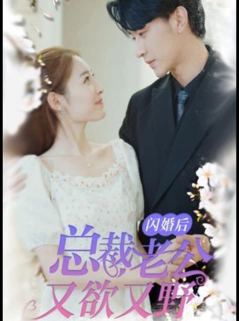 闪婚后总裁老公又欲又野封面