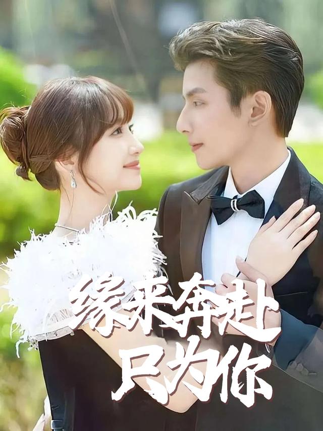缘来奔赴只为你封面
