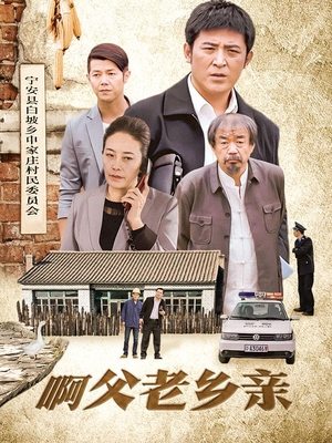 电视剧啊父老乡亲（下）封面