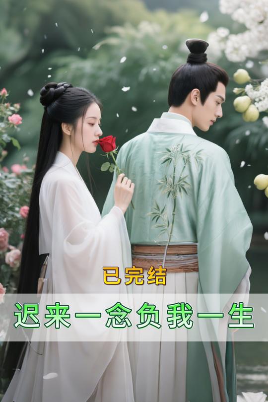 迟来一念负我一生封面