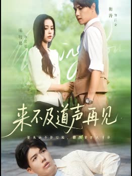 来不及道声再见封面