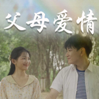 父母爱情封面
