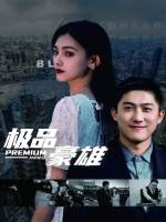 极品豪雄封面