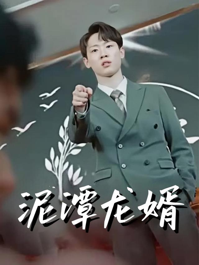 泥潭龙婿封面