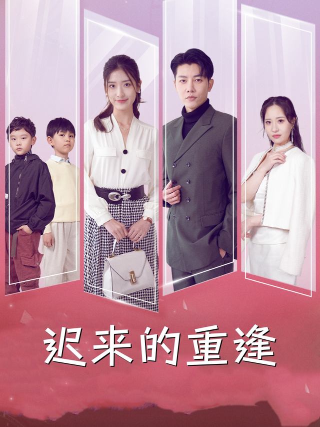 迟来的重逢封面