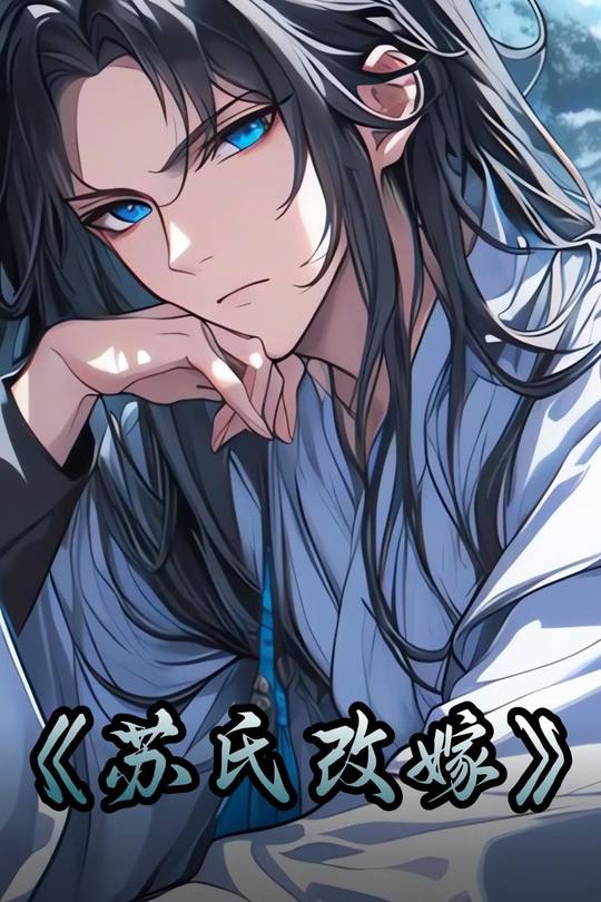 苏氏改嫁封面