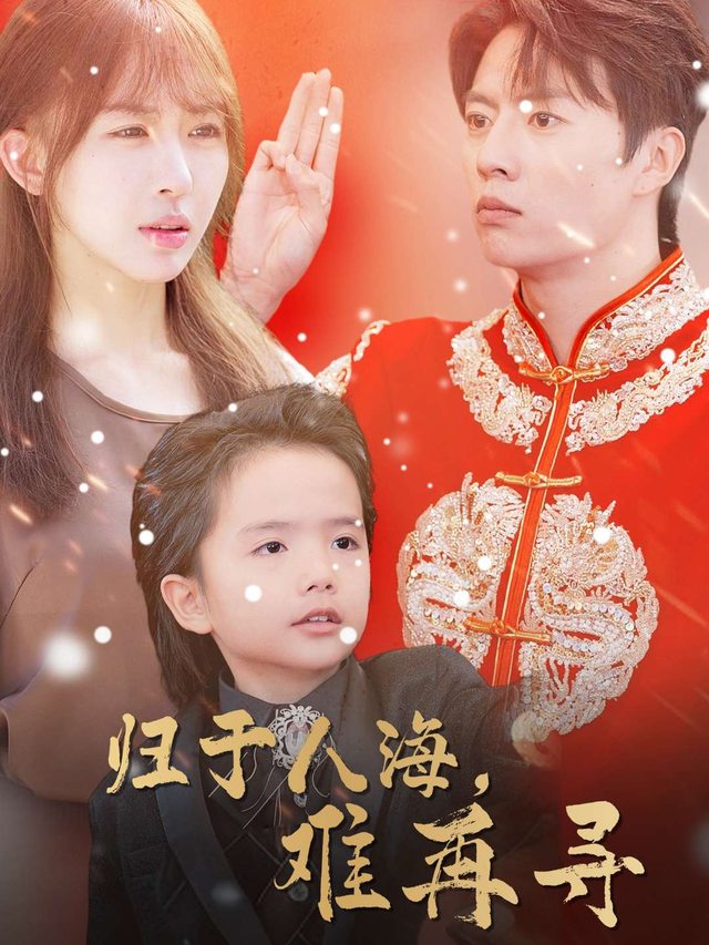 归于人海难再寻封面