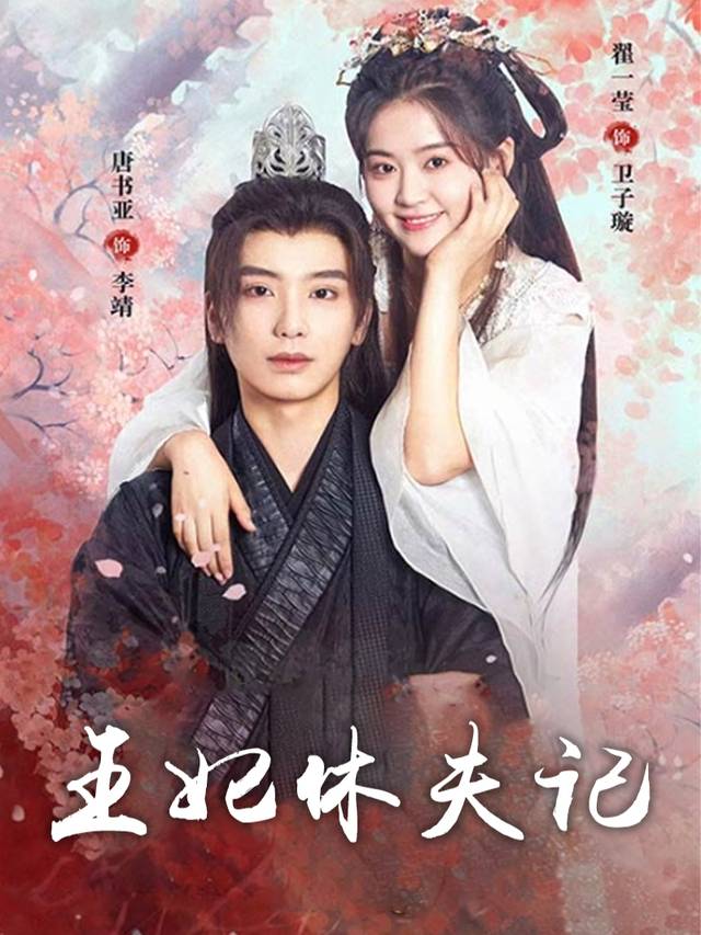王妃休夫记封面