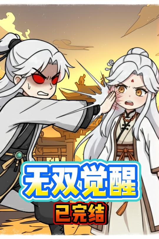无双觉醒封面