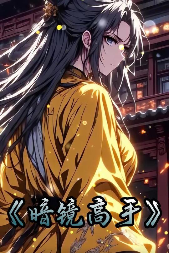 暗镜高手封面