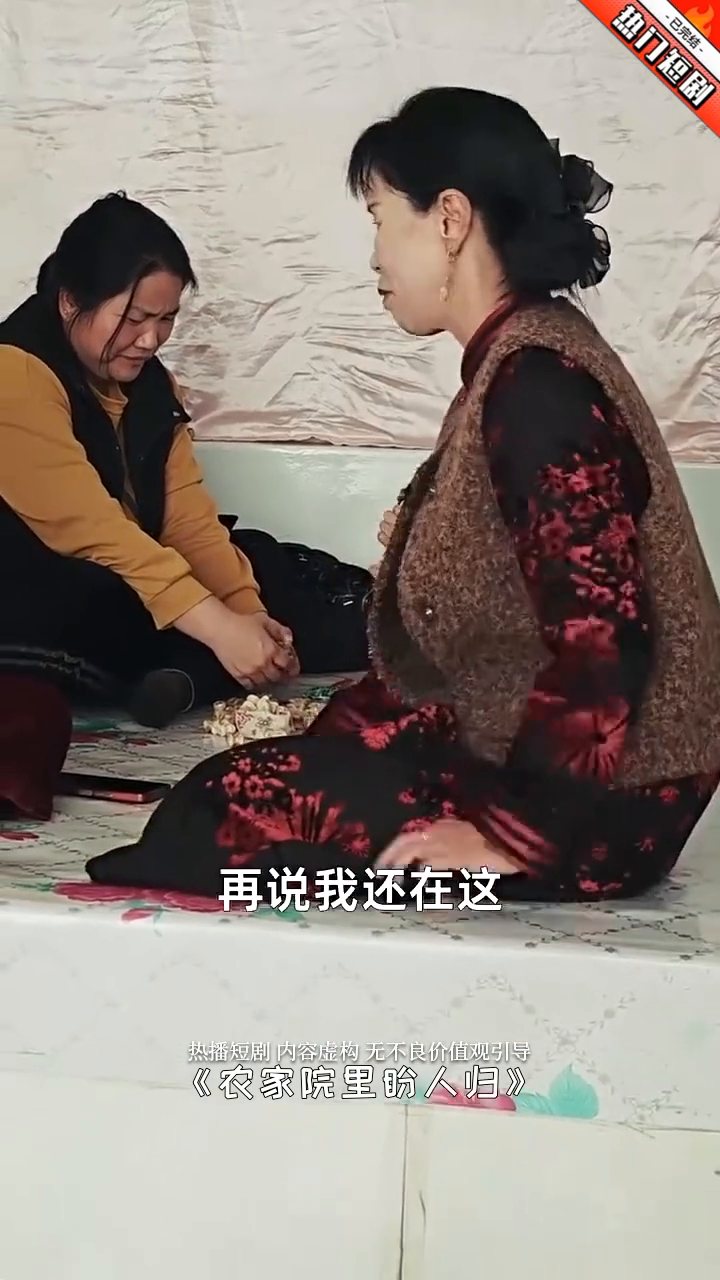 农家院里盼人归封面