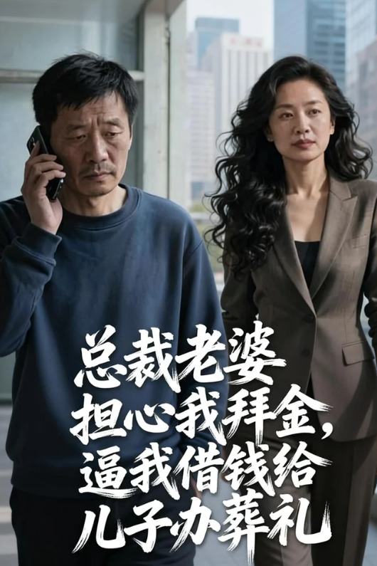 总裁老婆担心我拜金，逼我借钱给儿子办葬礼封面