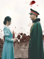 落梅君不归封面