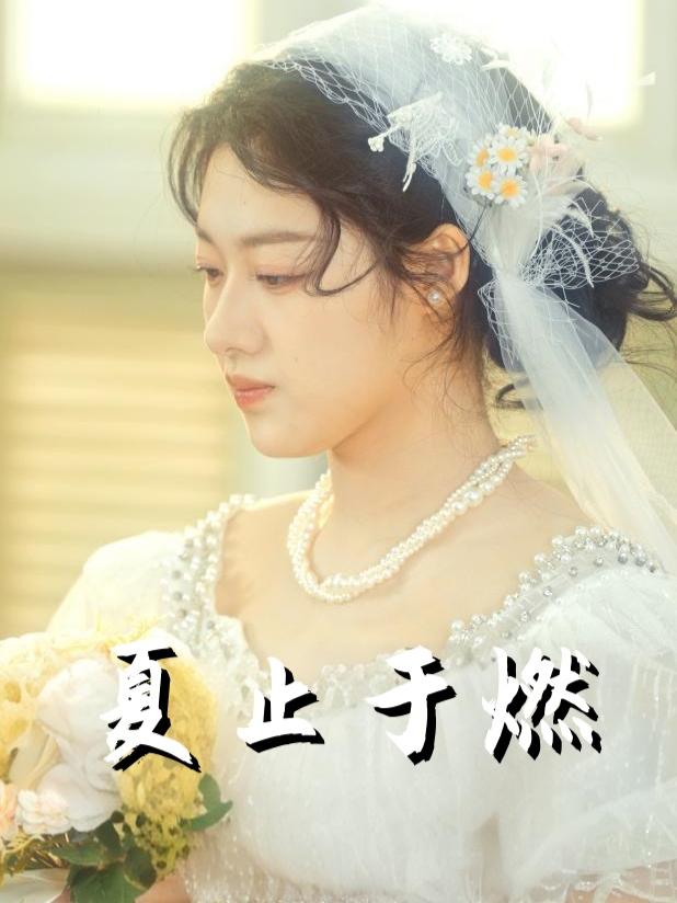 夏止于燃封面