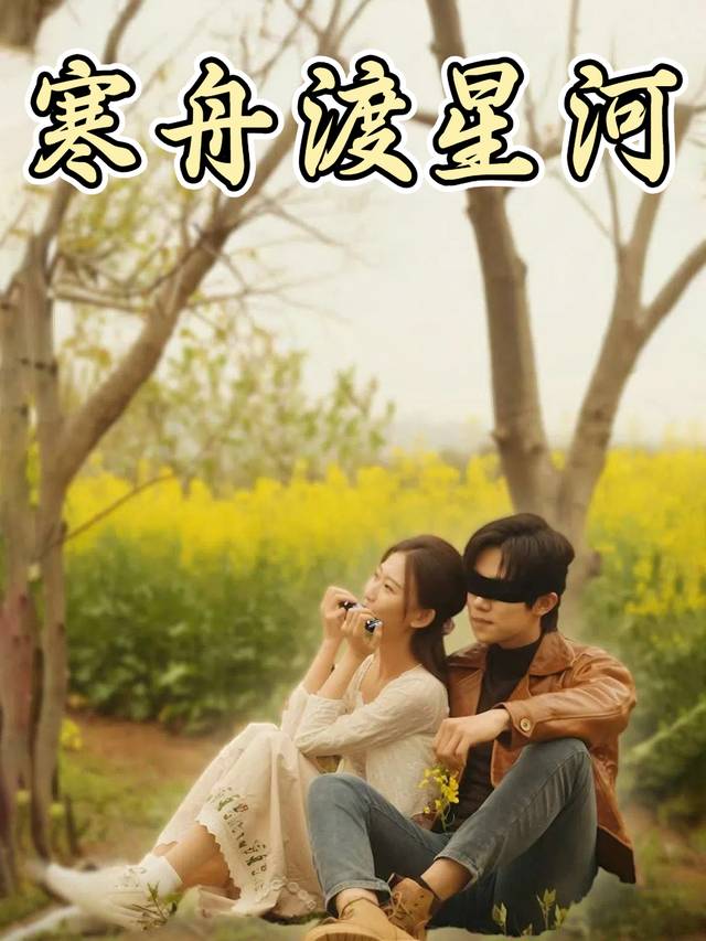 寒舟渡星河封面