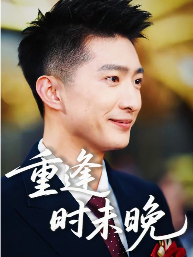重逢时未晚封面