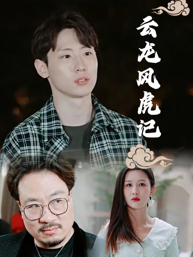 云龙风虎记封面