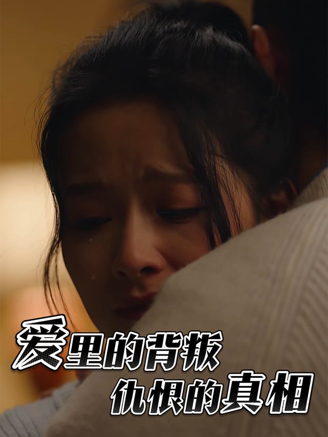 爱里的背叛,仇恨的真相封面
