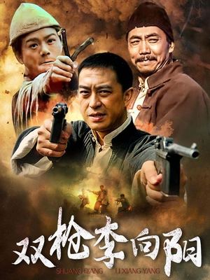 电视剧双枪李向阳(2)封面