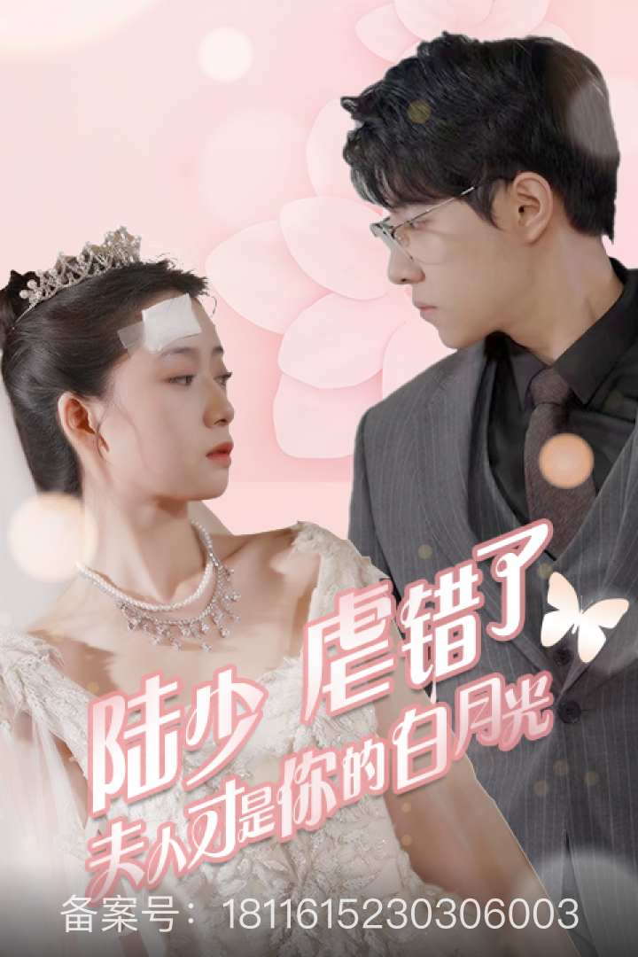 陆少虐错了,夫人才是你的白月光封面