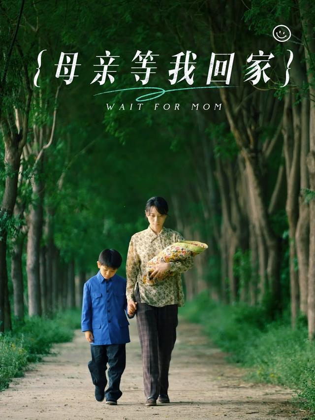 母亲等我回家封面