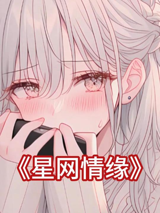 星网情缘封面
