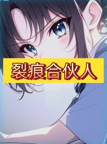 裂痕合伙人封面