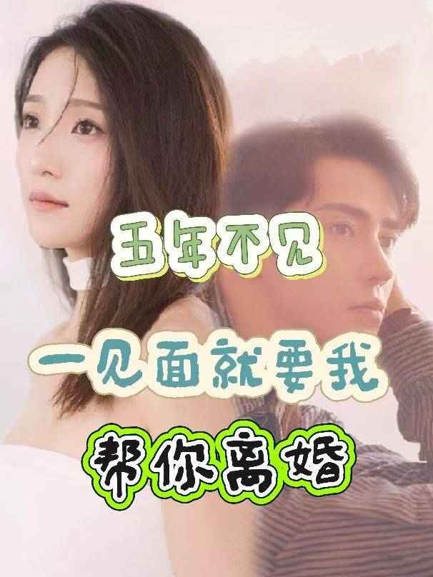 五年不见,一见面就要我帮你离婚封面