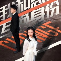 我和总裁互换身份封面