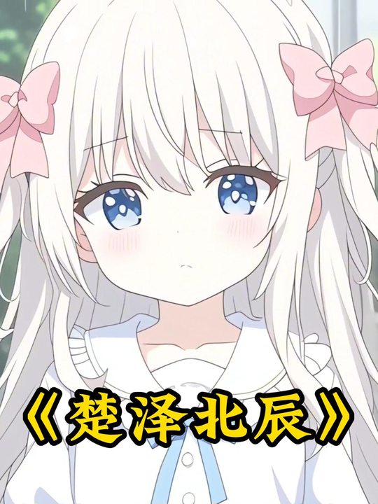 楚泽北辰封面