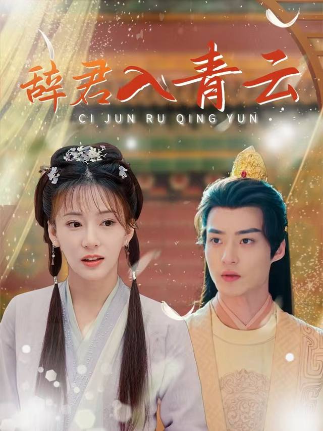 辞君入青云封面