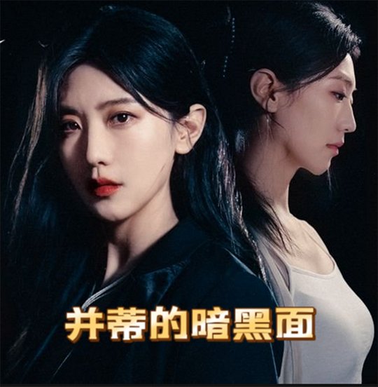 并蒂的暗黑面封面