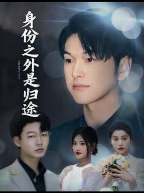 身份之外是归途封面