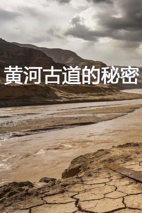 黄河古道的秘密封面