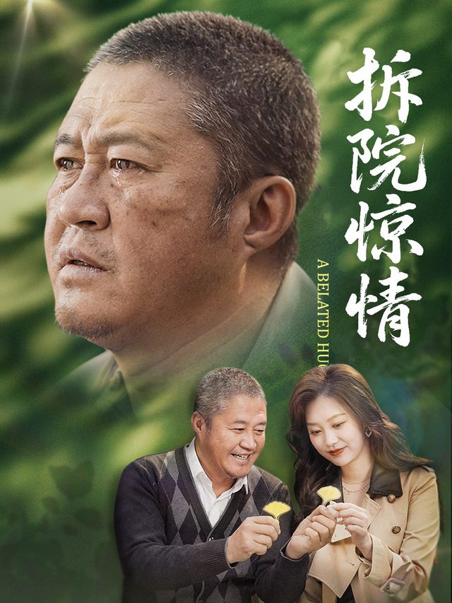 拆院惊情封面