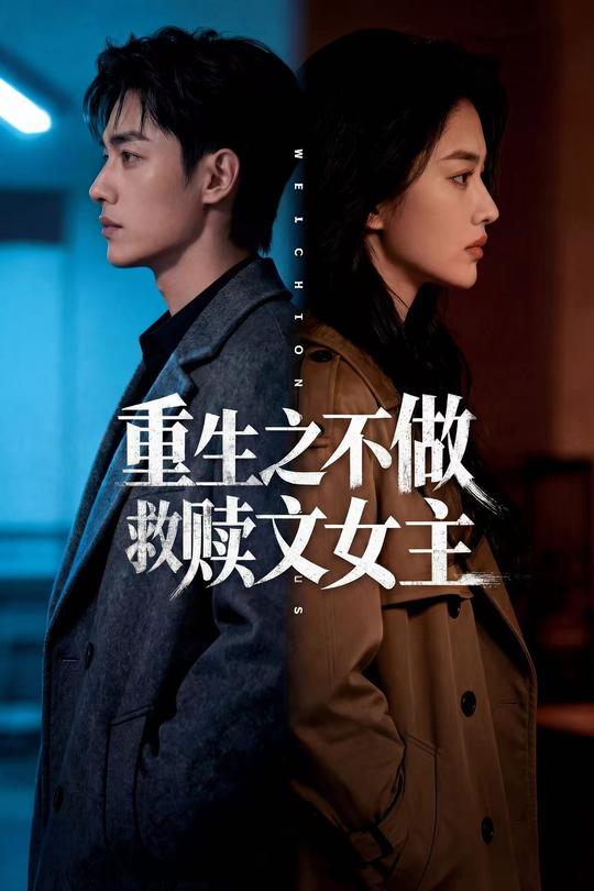 重生之不做救赎文女主封面