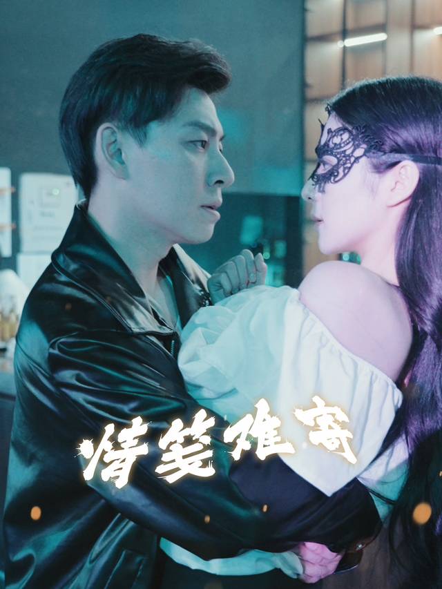情笺难寄封面
