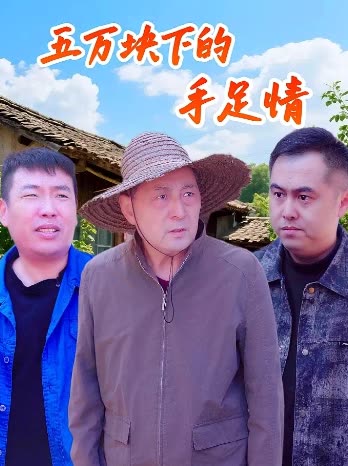 五万块下的手足情封面